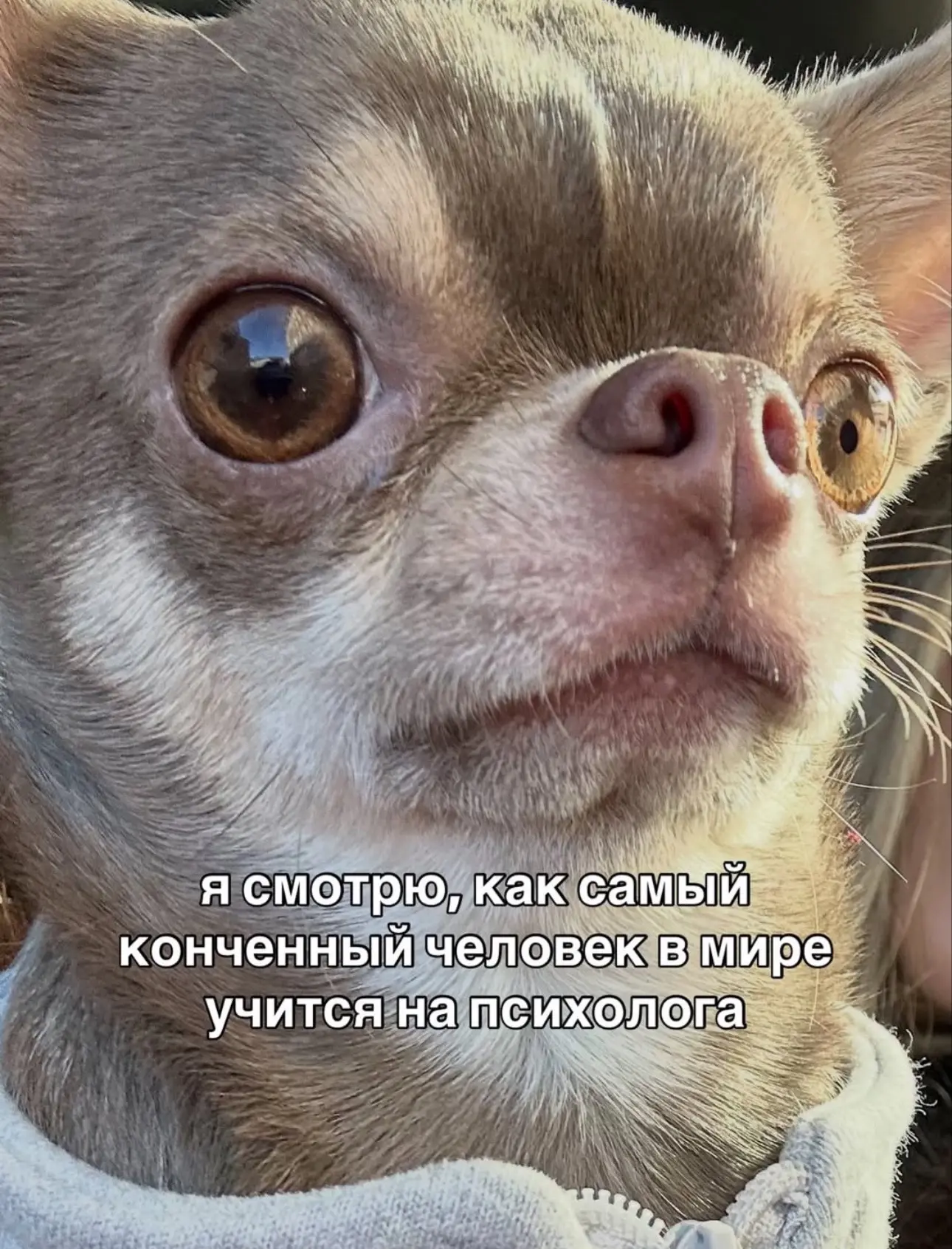 @memachh