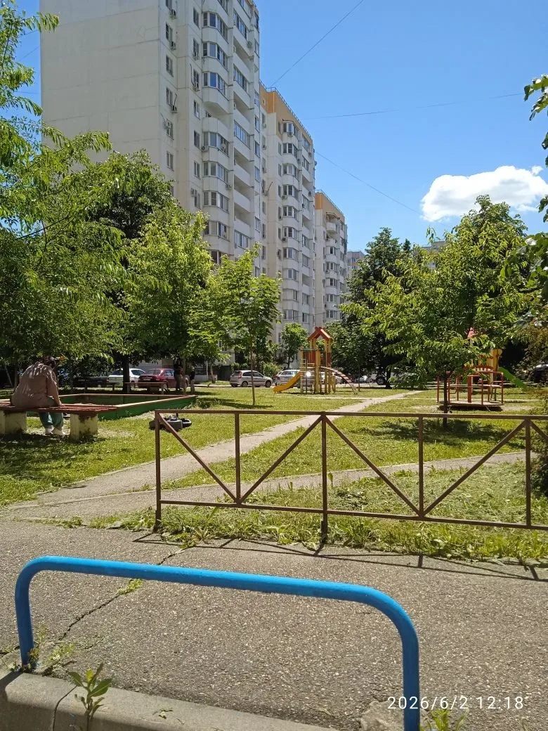 🌿 Благоустройство
