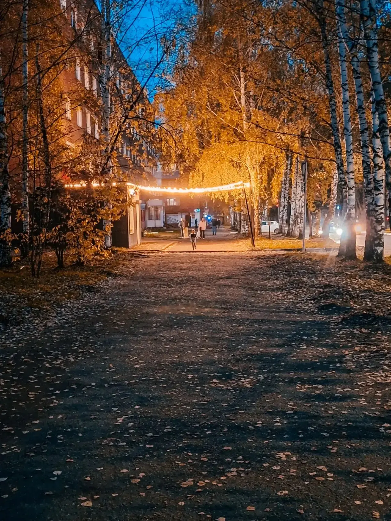 🍁Хорошего вечера