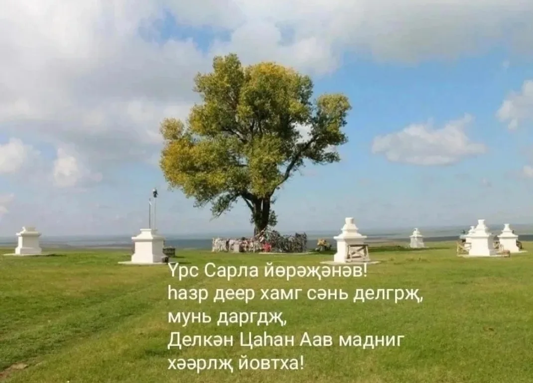 Дорогие жители Бергинского СМО РК!