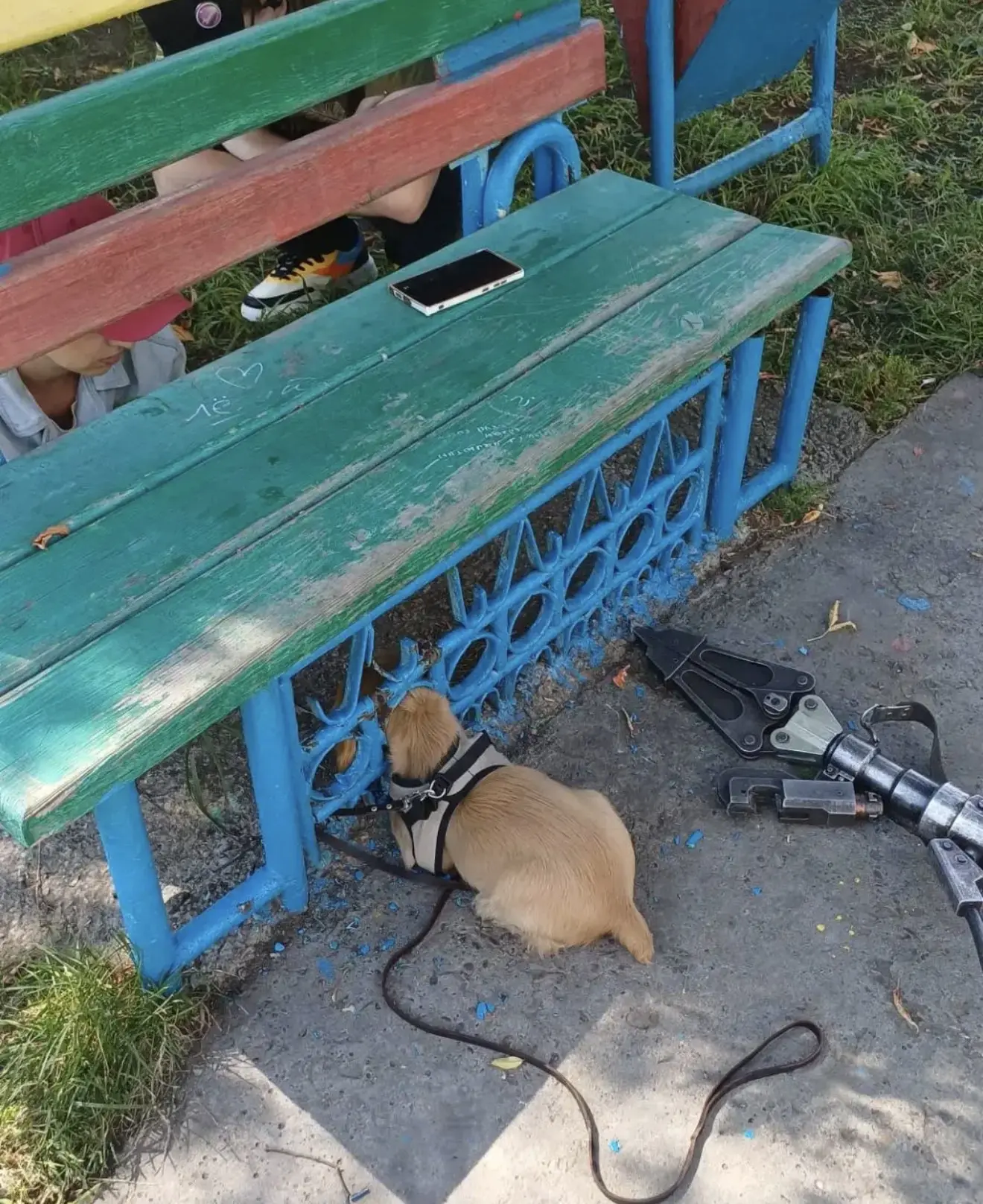 🐶Сотрудники пожарно-спасательной службы Иркутской области спасли двух собак