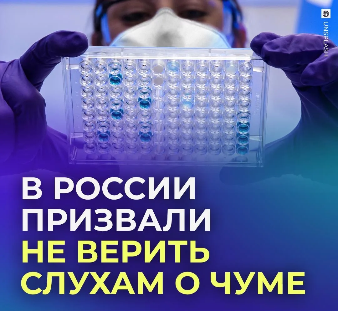 😷 Кремль опроверг слухи о распространении чумы в России.