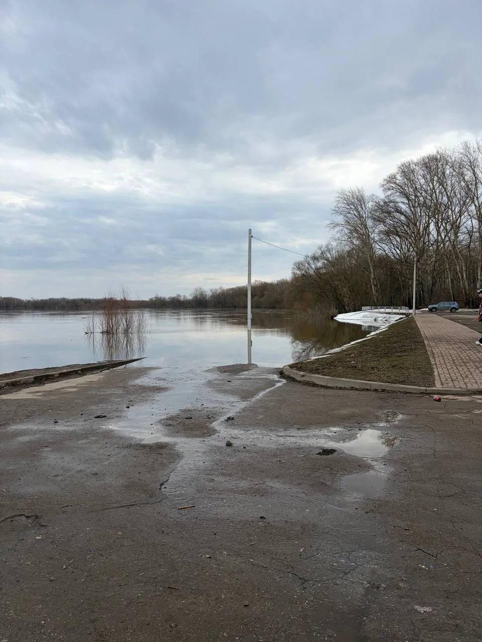 (фото с 1.04) Ока поднялась уже выше. Ждём пика, следим за обстановкой.

Жаждущие уже выходят помаха