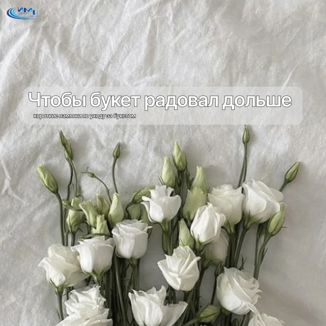 🍂 Мы, конечно, не флористы, но букеты после 1 сентября — наша общая сезонная забота. С...