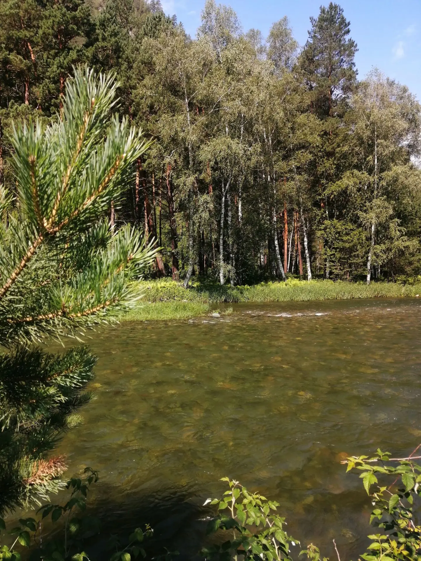 🌲🌲🌲Пятница! Время выдохнуть и порадоваться, что неделя почти позади. 🎉