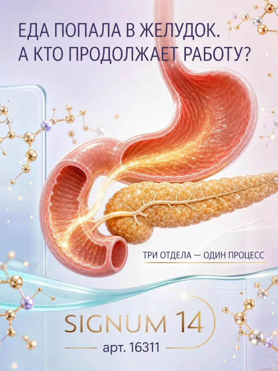 Изображение 1 к публикации «Dr. Ryavkin»