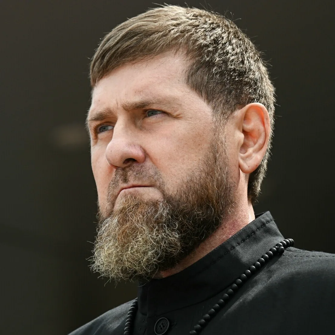 Изображение 1 к публикации «Топорик 🪓»