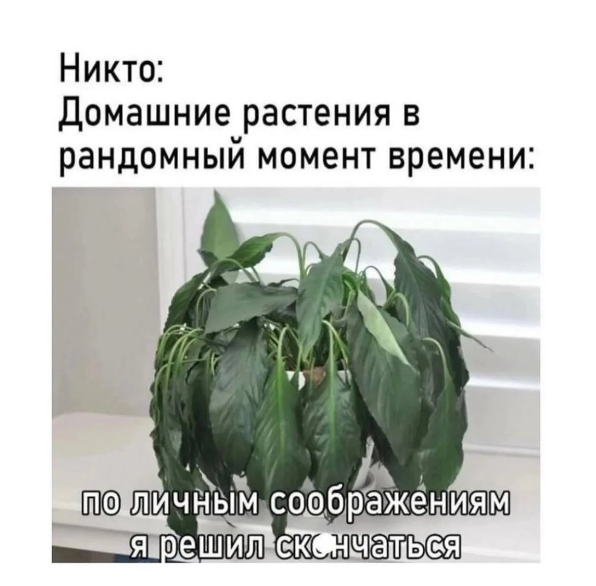 Тема дня📻