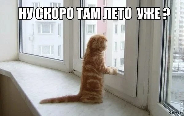 30° жары обещают синоптики на выходные

Скорей бы уже. Сегодня настоящая осень. И вообще хочется уже