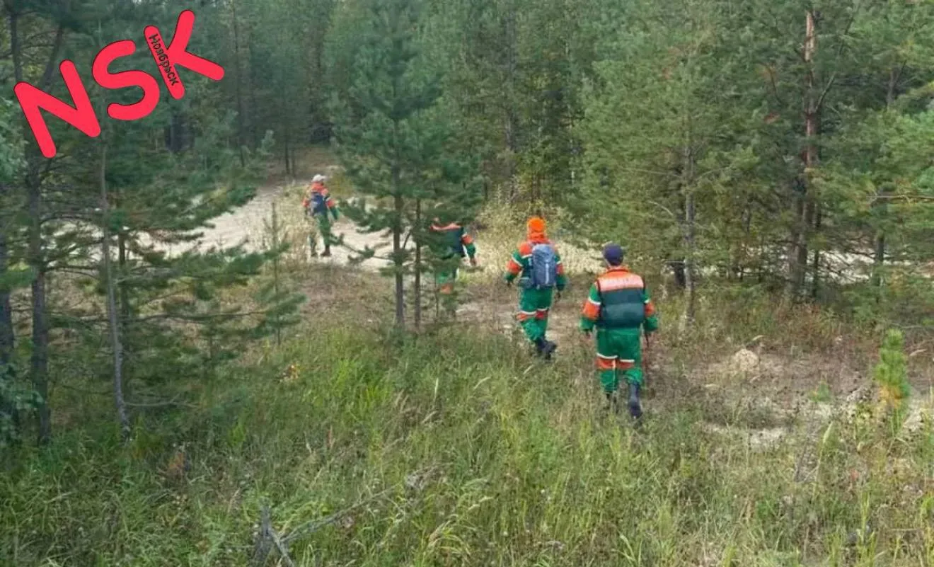 07.09.2026. в 17:15 "Ноябрьский ПСО" организованы поисковые работы по авто дороги г. Но...