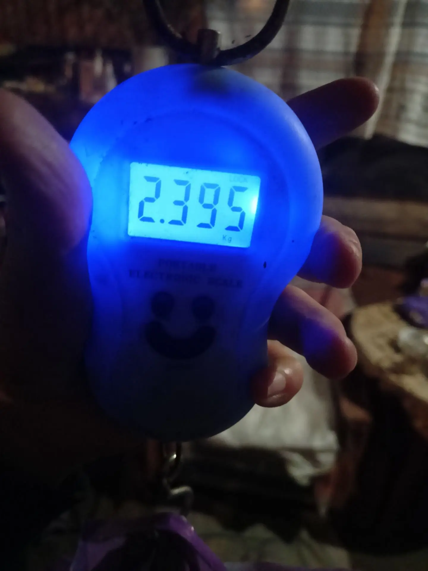 Самый большой кабачок ,весит почти 2,5 кг
А у вас какой рекорд?🤗