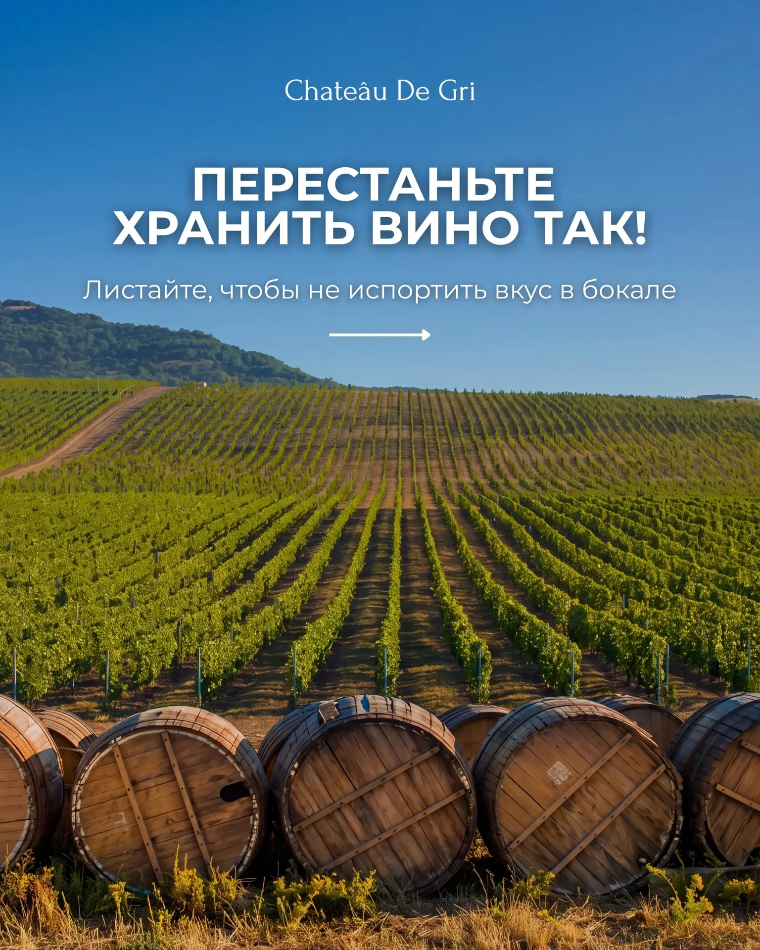 Правильное хранение вина — это база!