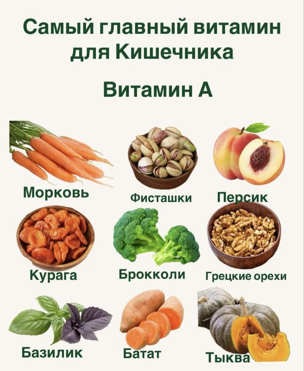 Самый важный витамин для кишечника!