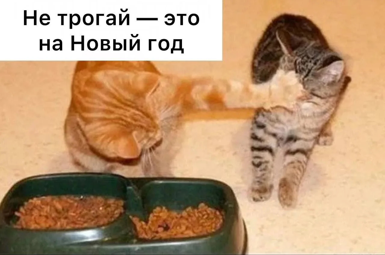 Эксперты посоветовали закупаться к Новому году уже сейчас, пока цены не улетели в космо...