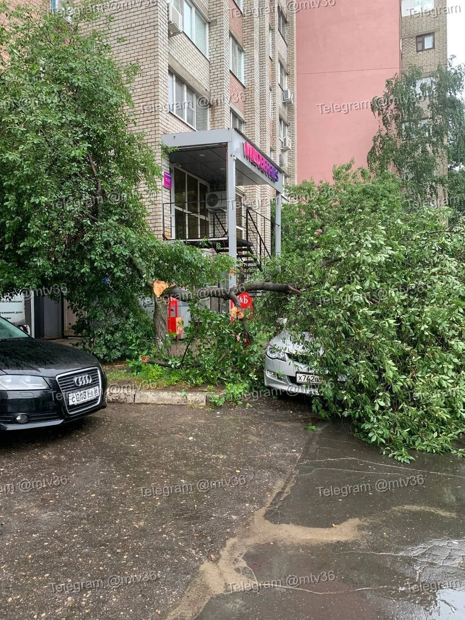 🌳 В Воронеже на улице Генерала Лизюкова упало дерево.

Стихия! Инцидент произошёл днем 15 июня. По 