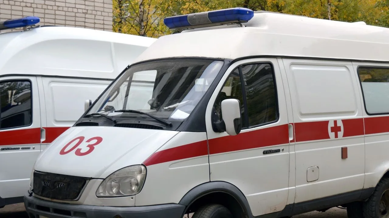 В Калужской области после столкновения с лосем погибла женщина

Она получила травмы, которые несовме