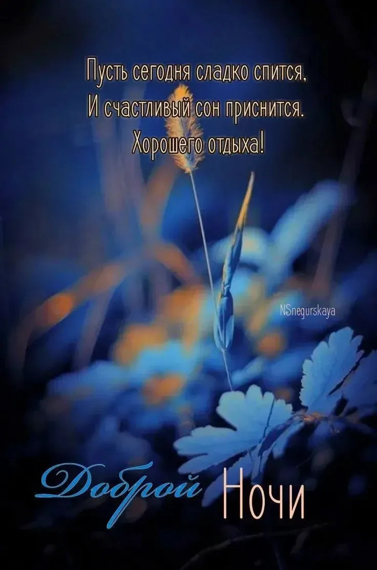 💐ЖИВАЯ СКАЗКА 💐