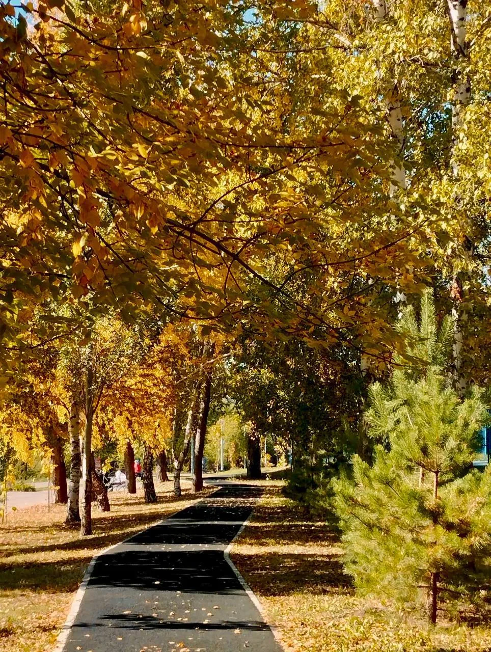 Осенние краски в парке «Советский»