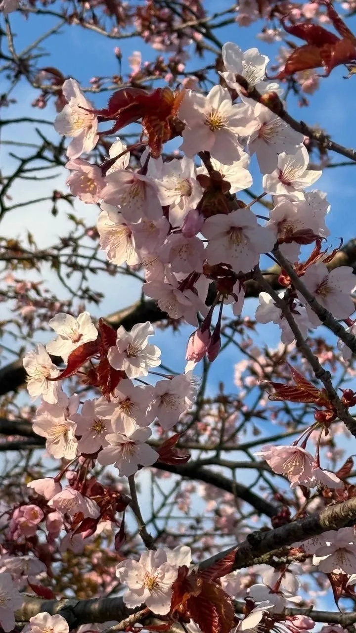 Доброе утро, Южный! 🌞  В эту субботу погода решила порадовать нас настоящим, почти летним теплом. Со