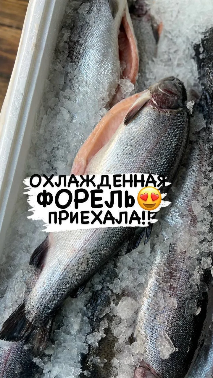 🐟 Морская охлажденная форель в наличии в магазине!