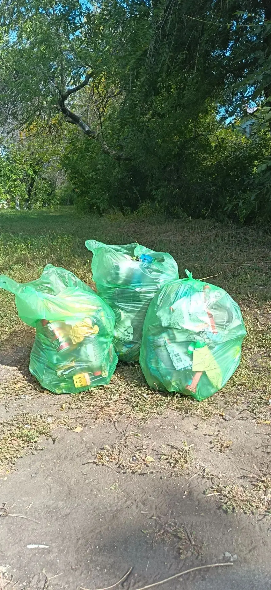 😊Сегодня родители 5А класса организовали субботник и убрали весь мусор вдоль тропинки,...