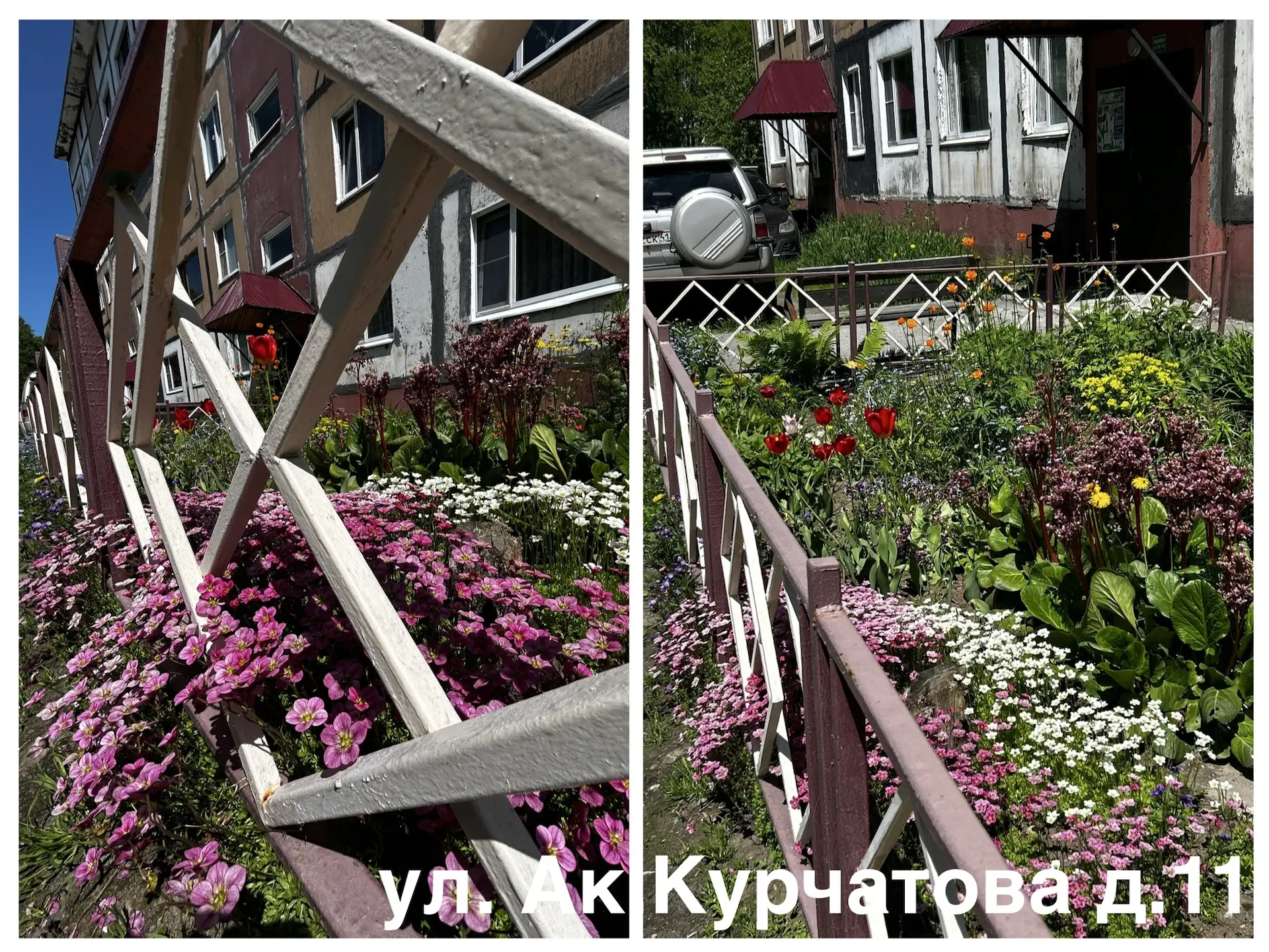 🌷 Огромное спасибо за красоту!