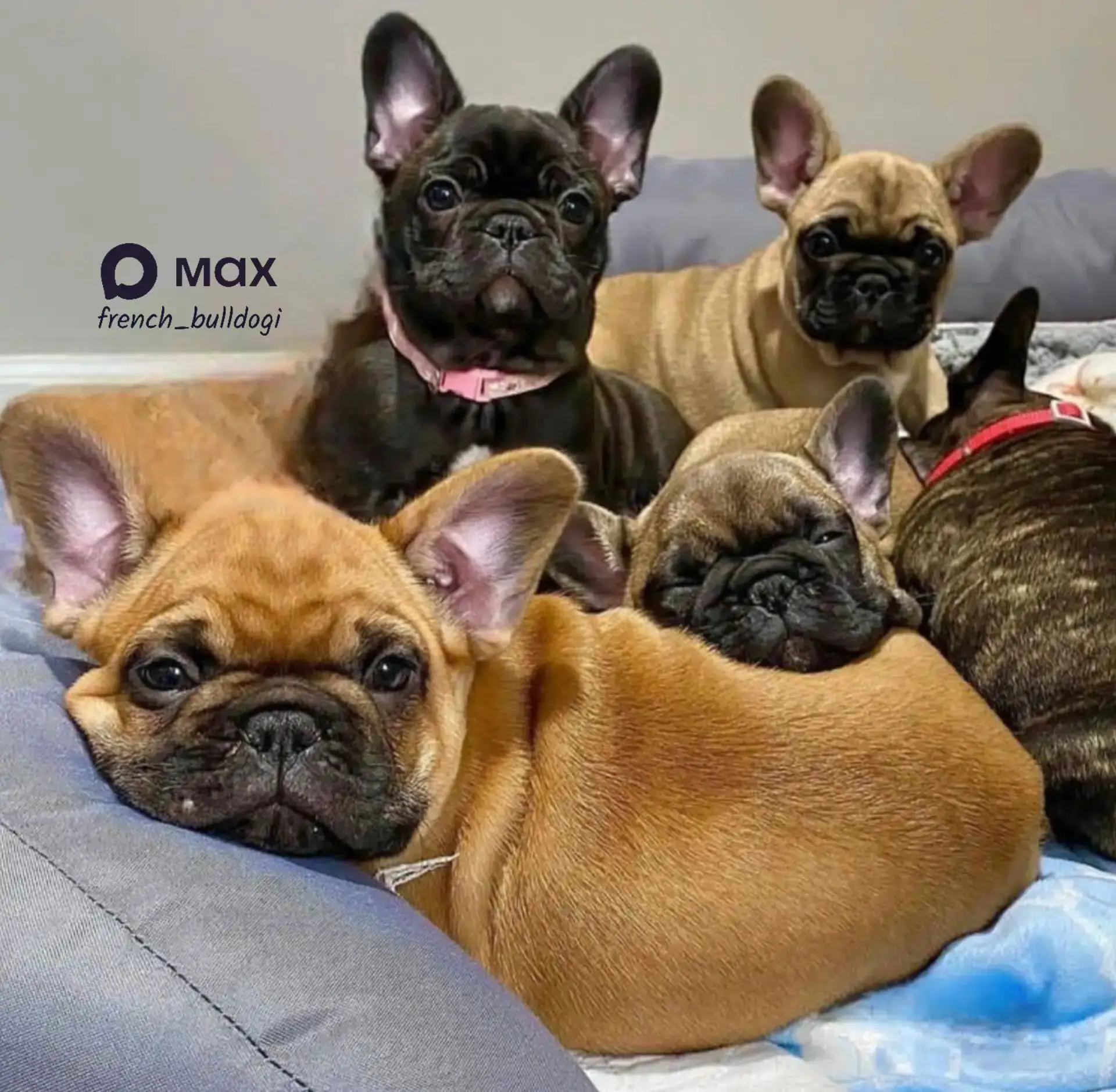 Мы здесь, чтобы пожелать отличного выходного. 😍