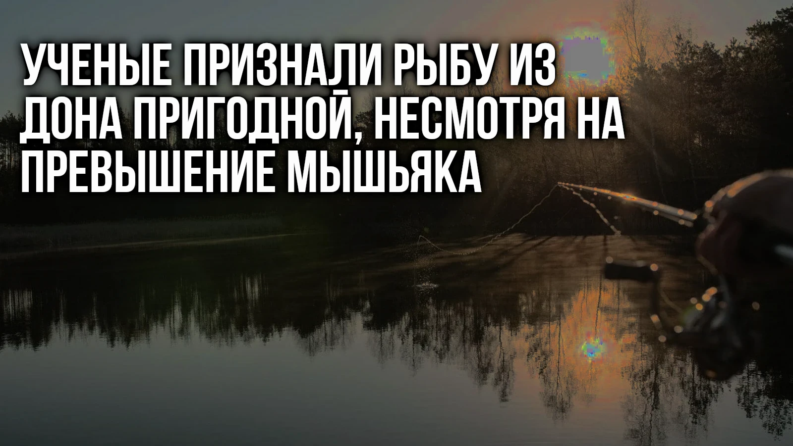 Ростовские ученые из Азовского научно-исследовательского института рыбного хозяйства (А...