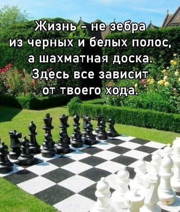 Смысл в каждой фразе — Подпишись