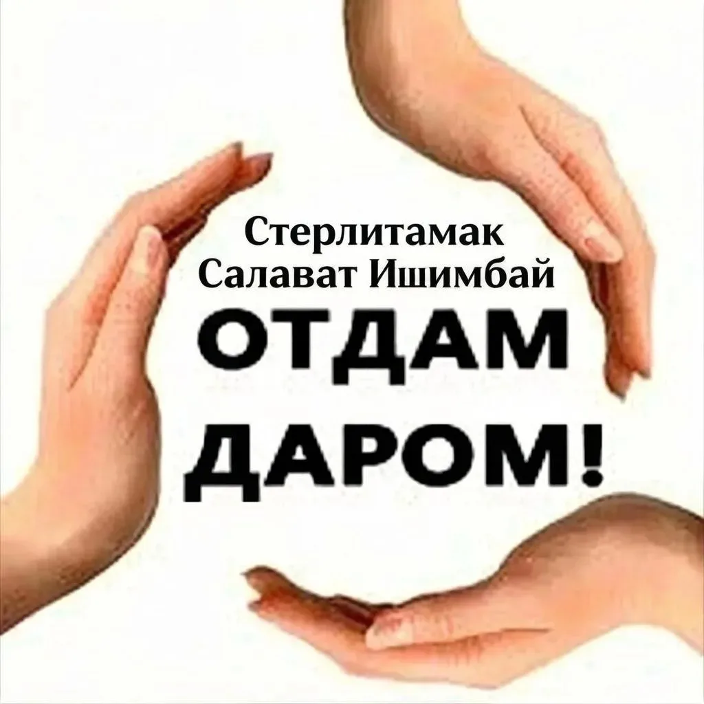 Отдам даром Стерлитамак, Салават, Ишимбай.