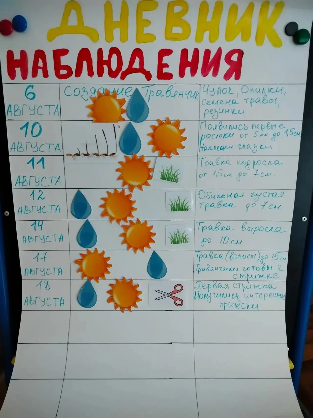 🌱✨ Воспитанники средней группы продолжают проект «Весёлые травянчики»! ✨🌱