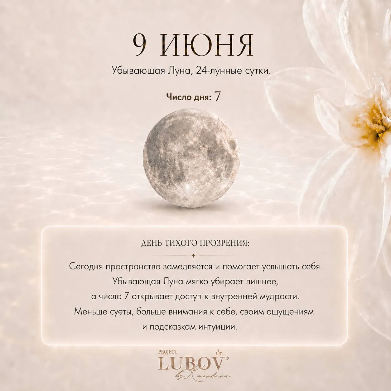 Доброе утро, дорогие 🤍