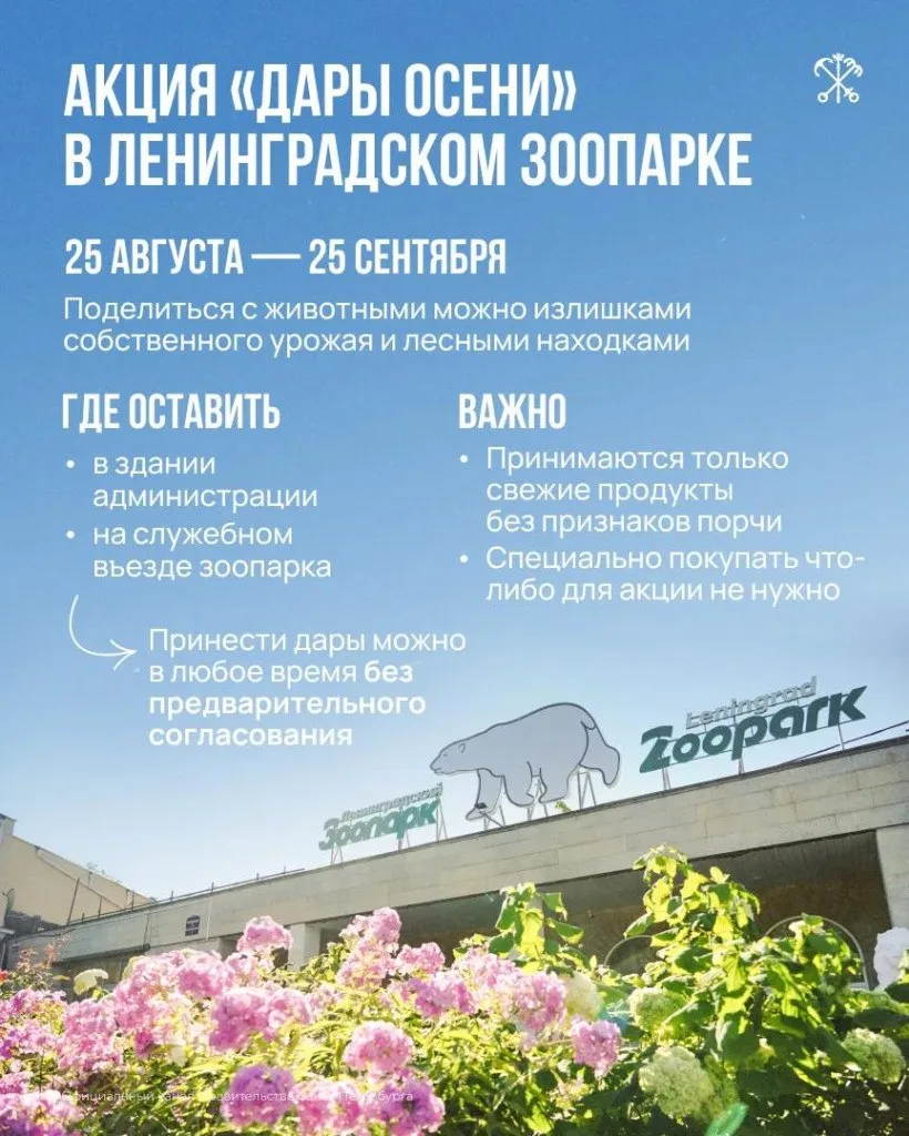 Не знаете, с кем еще поделиться кабачками?