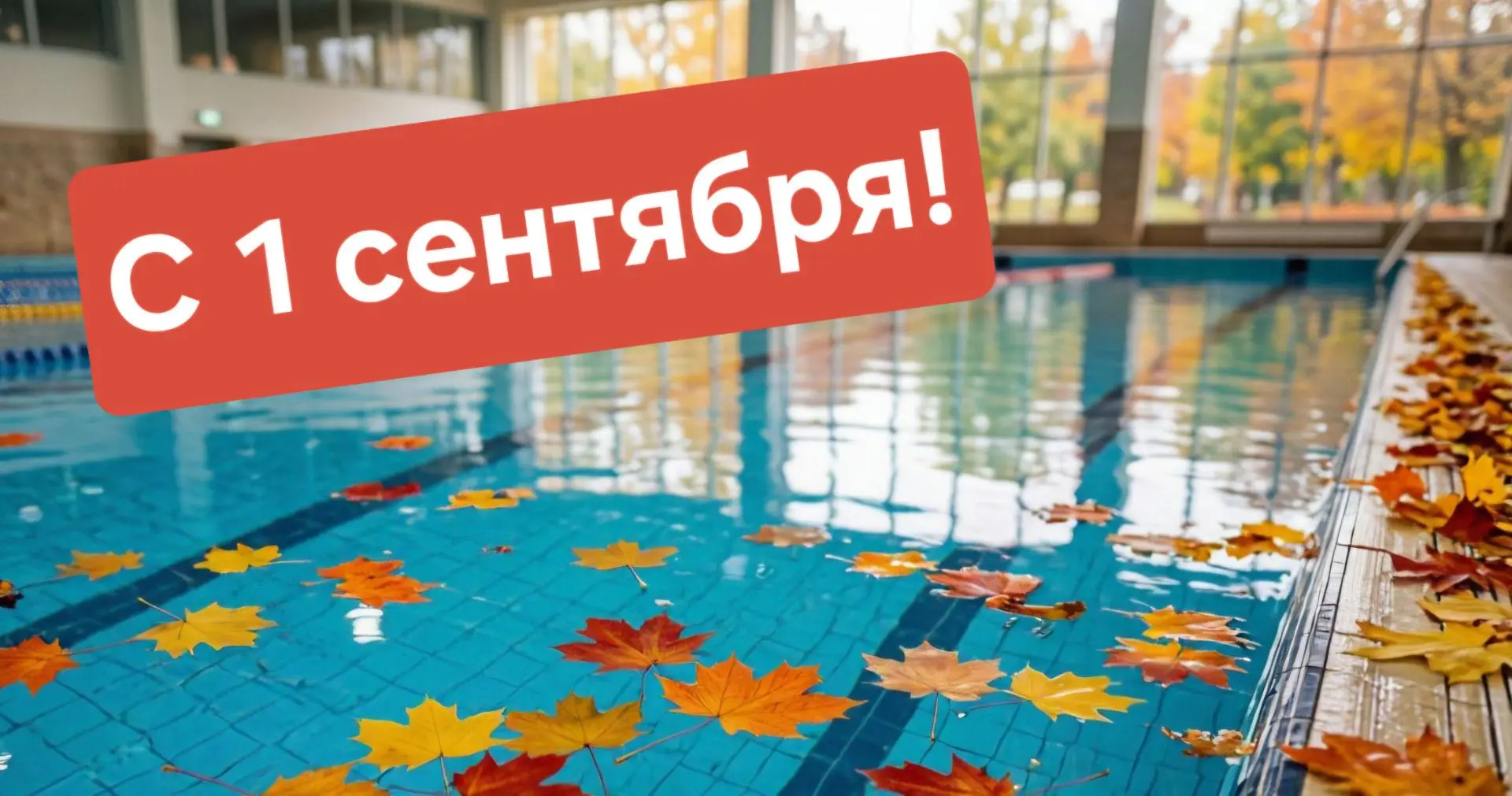 Друзья, с днём знаний! 🎉 Пусть этот день будет по-особенному ярким — ведь сегодня начи...