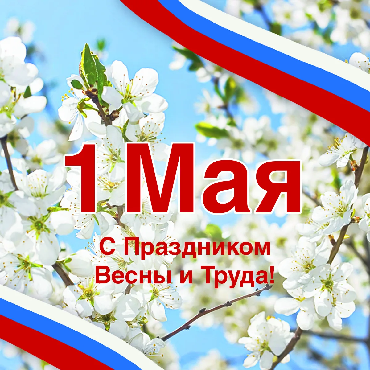 Уважаемые подписчики! Поздравляем с Днём 🌷весны и 🪏труда! Май — время, когда природа оживает, а вмес