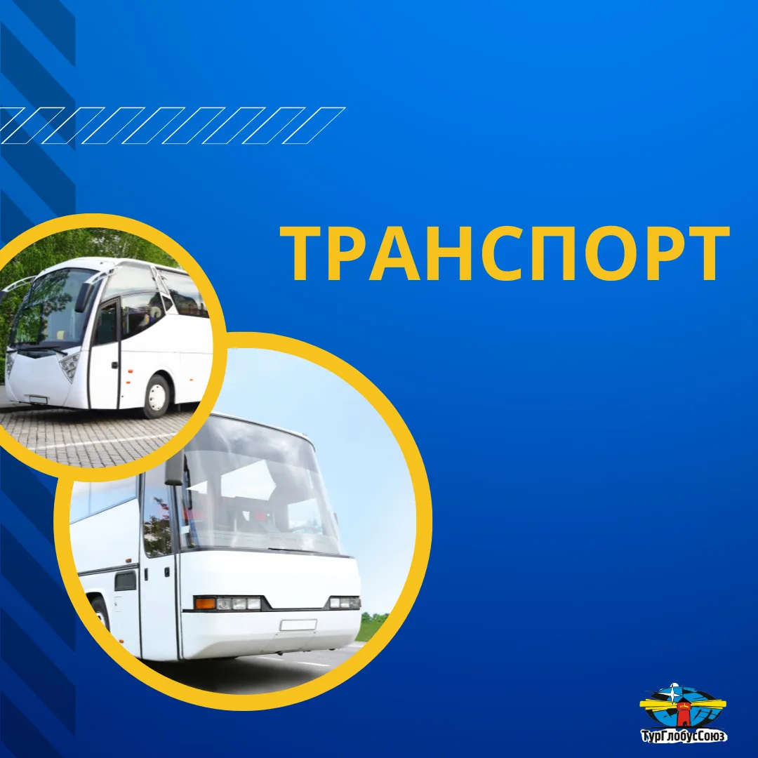 Когда мы отправляем школьников в незабываемое турне по Золотому кольцу, мы знаем: дорог...