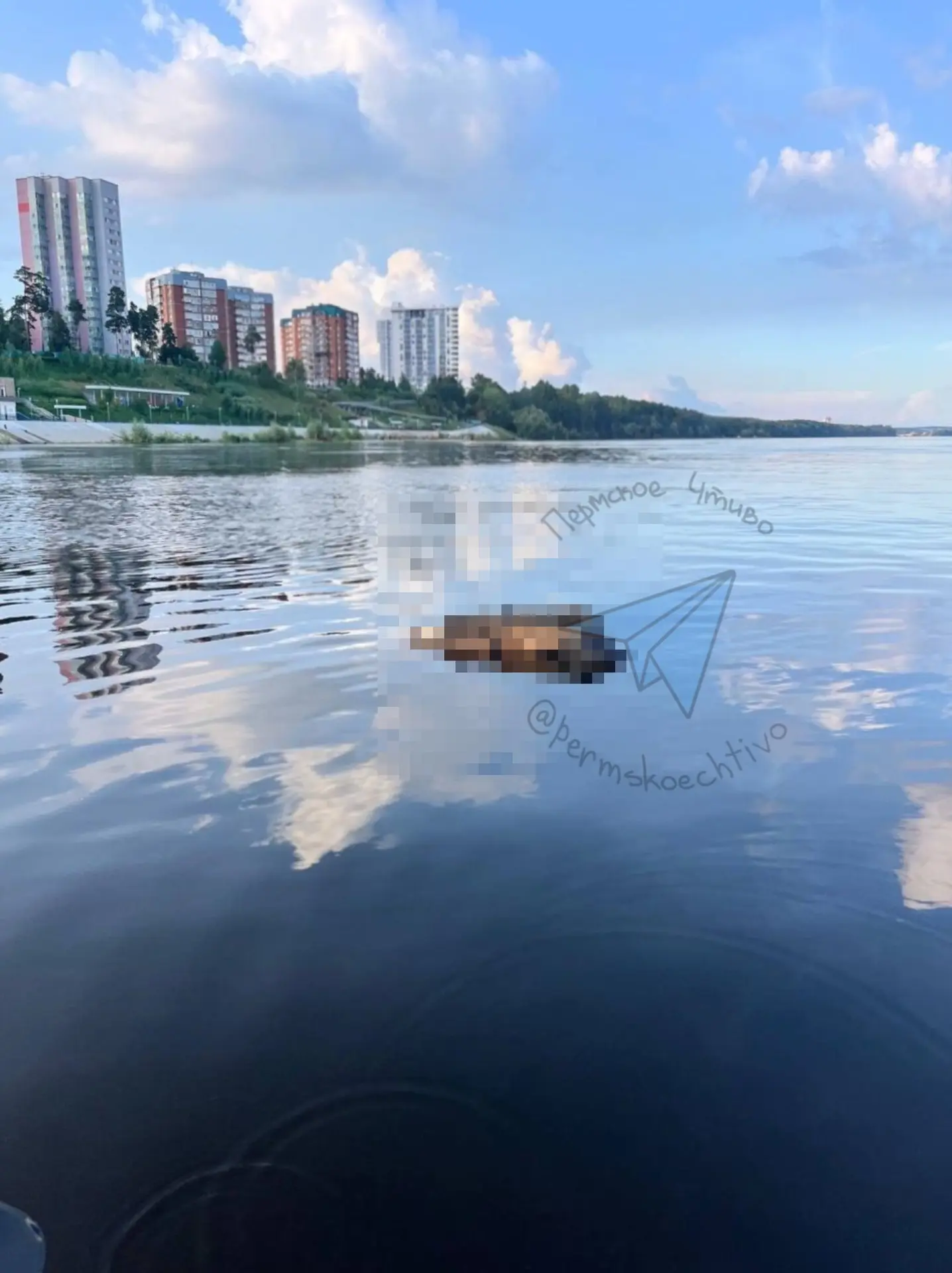 ⚡️Пермячки плавали по Каме на сапах и обнаружили труп человека в районе остановки «Экран».