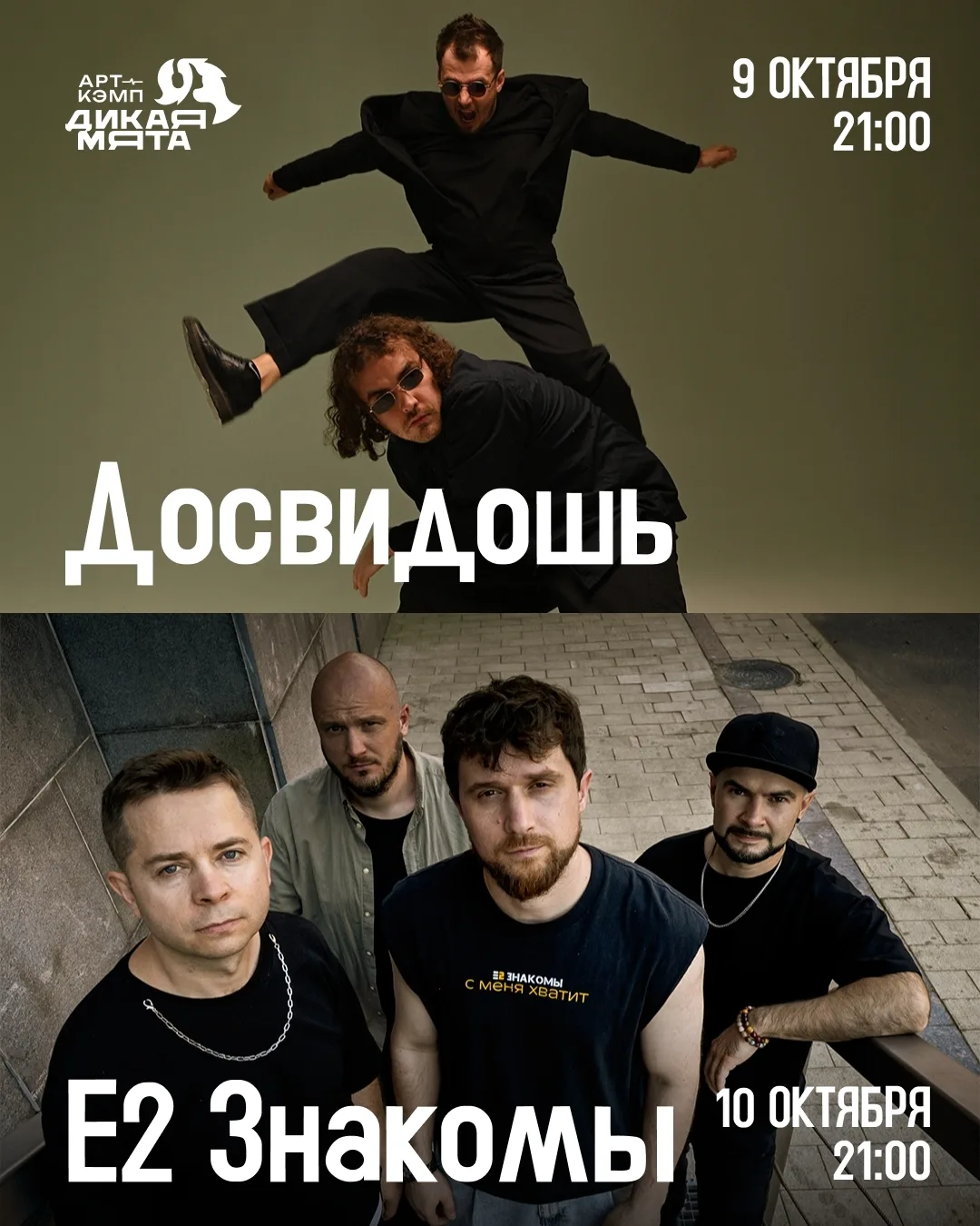 Концерты уикенда в арт-кэмпе «Дикая Мята»!