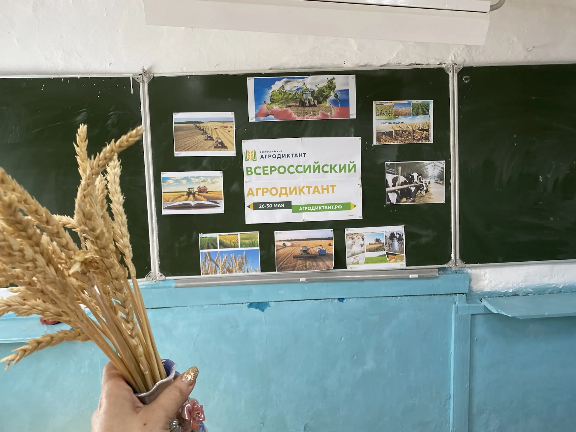 Сегодня, 21 мая 2026 г, в нашей школе прошёл Всероссийский Агродиктант!