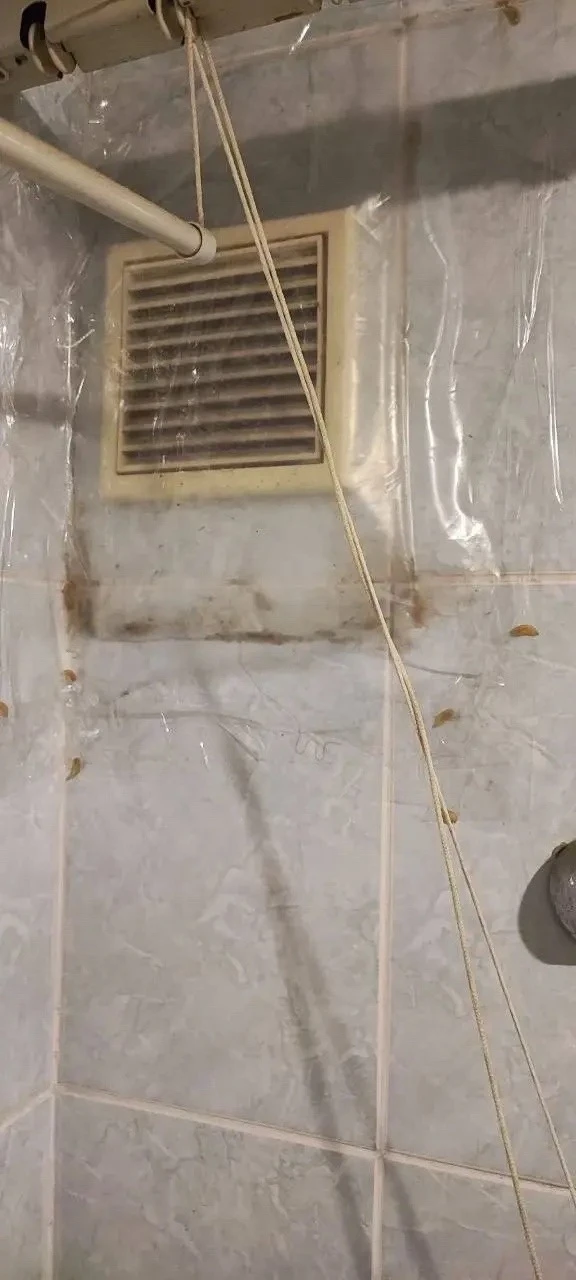 Жесть из Челябинска 🤮