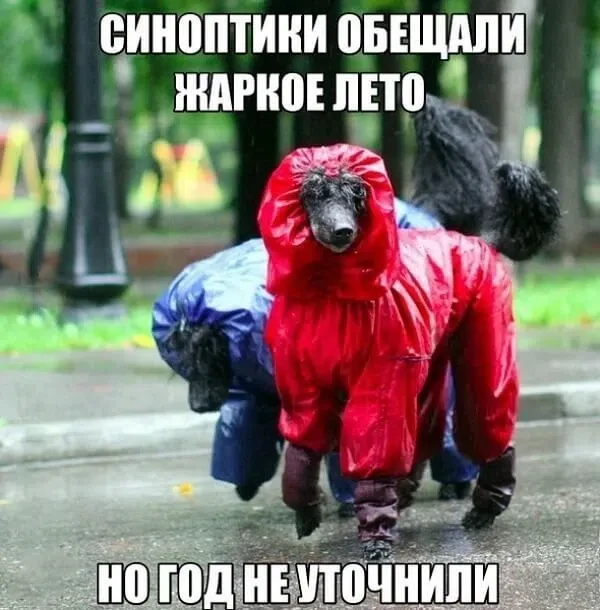 ☀️  7 июня установится комфортная летняя погода!

Синоптики прогнозируют дневное повышение температу
