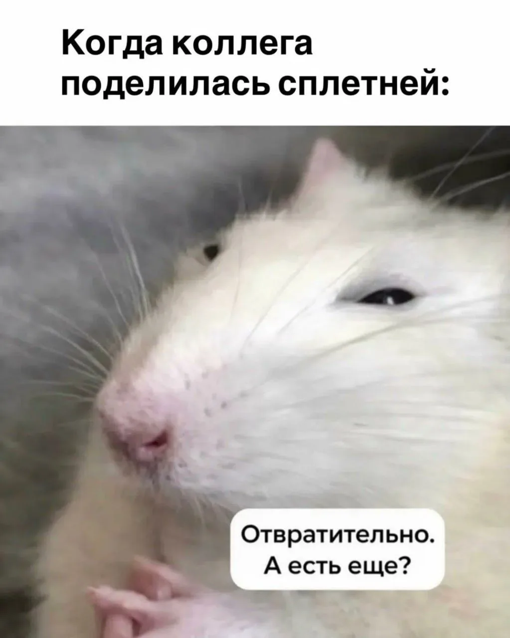 Ставь лайк! ❤️