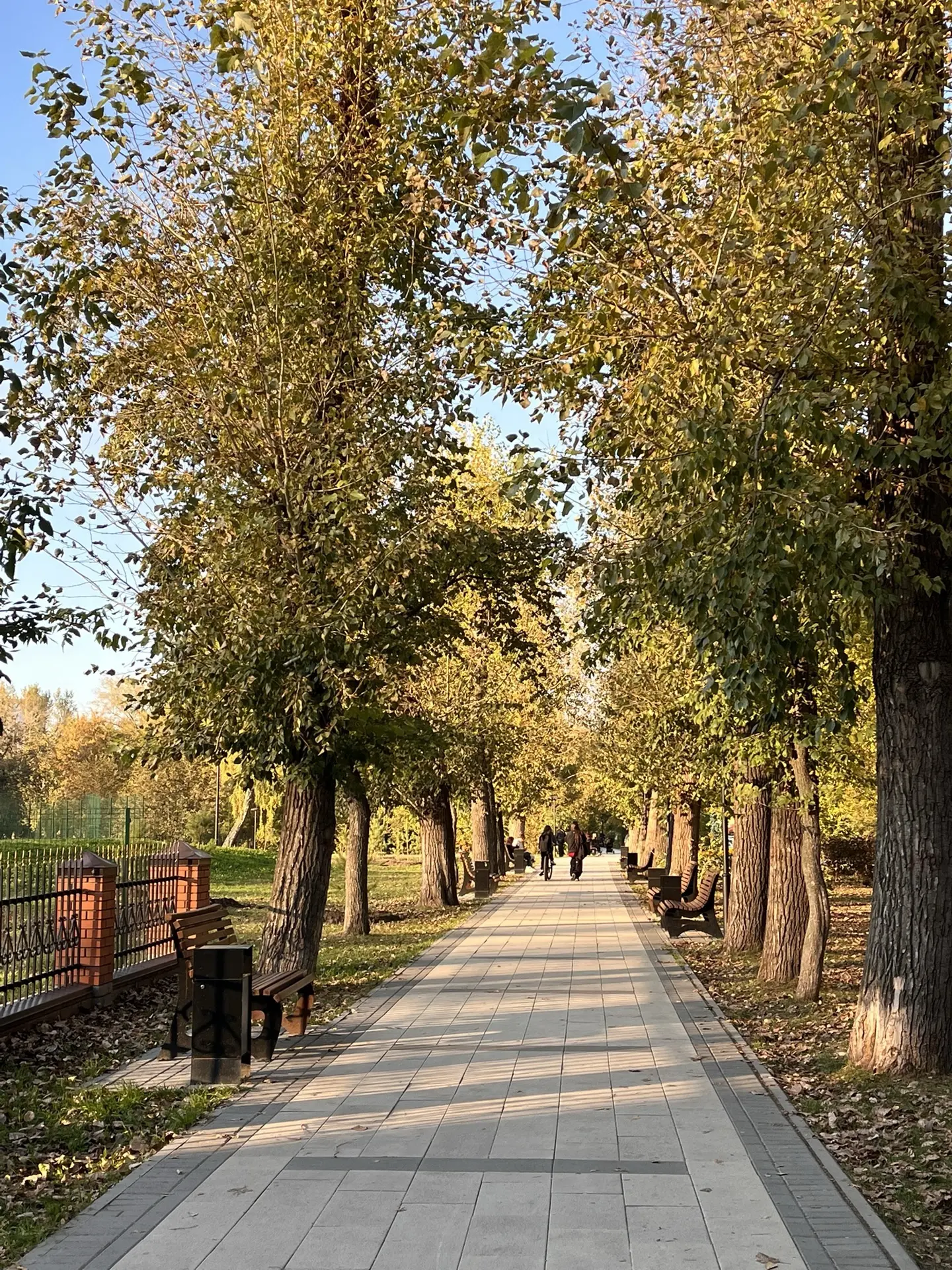 ☀️ Всем хорошей пятницы и отличного настроения!