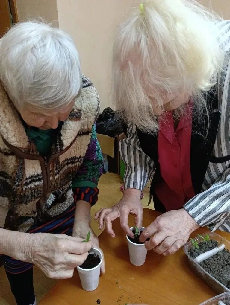✨Забота о будущем урожае ⁣ 🏡🌱Проживающие Холмовского дома-интерната для престарелых и инвалидов успе