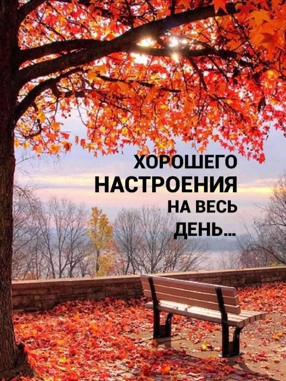 Изображение 1 к публикации «СТИЛЬНЫЕ ОТКРЫТКИ»