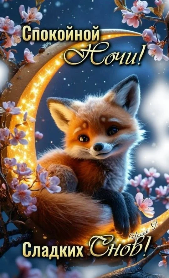 🥰 Оставляйте реакции, если понравилась открытка и делитесь с близкими ❤️

Лучшие Открытки в MAX