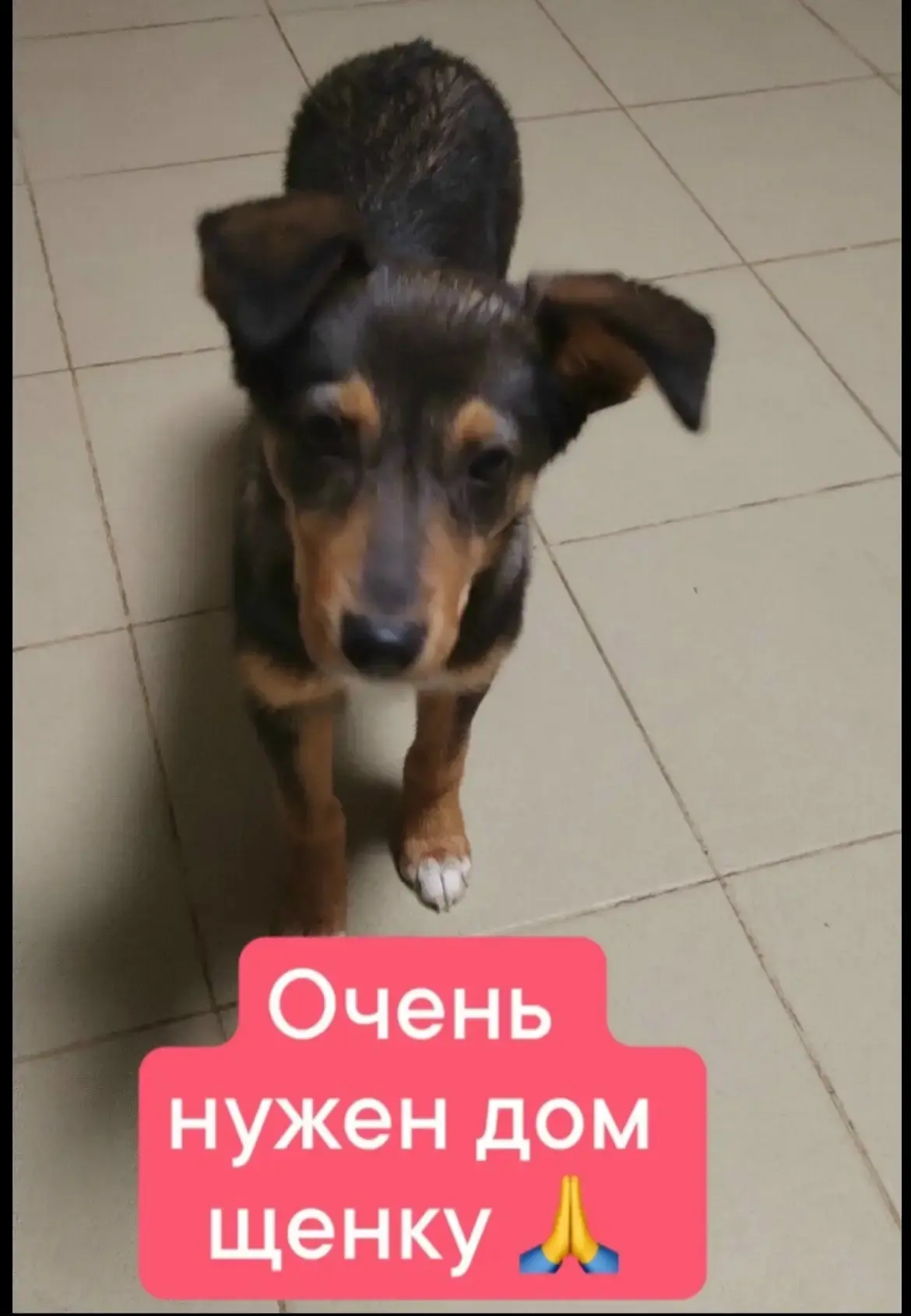 Объявления Отрадный Кинель-Черкассы vk.ru/naodo