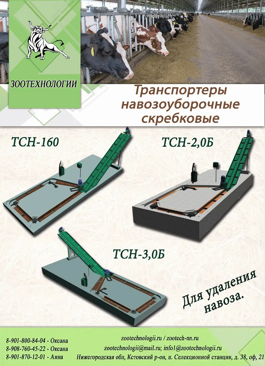 🧹 Навоз убирается сам? 

Транспортеры ТСН для коровников — надёжная система удаления навоза.

Колле