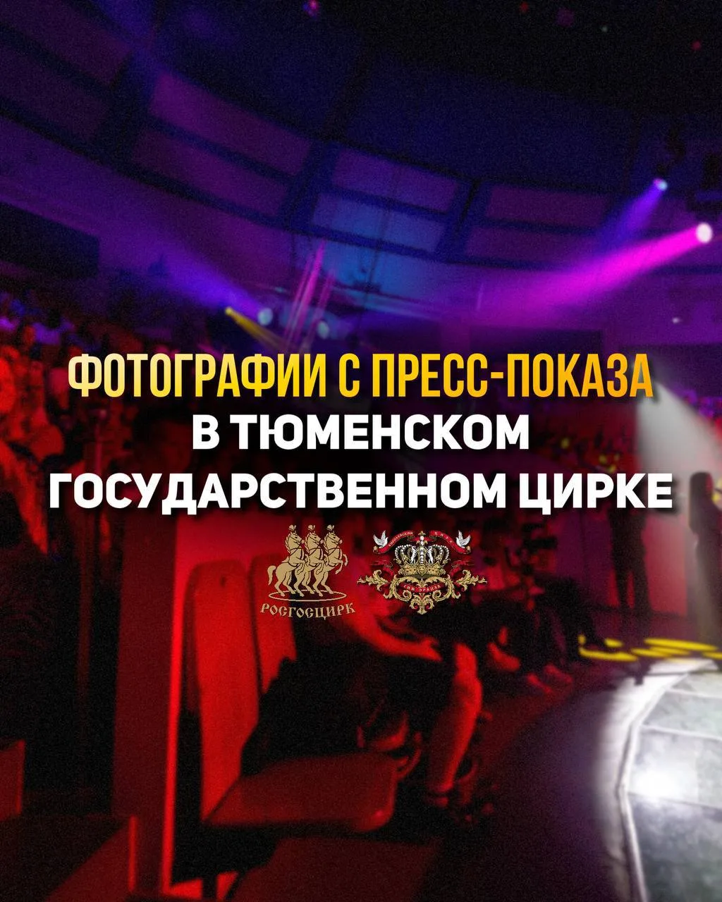 9 июня в Тюменском государственном цирке прошёл закрытый пресс-показ совместного проекта продюсерско