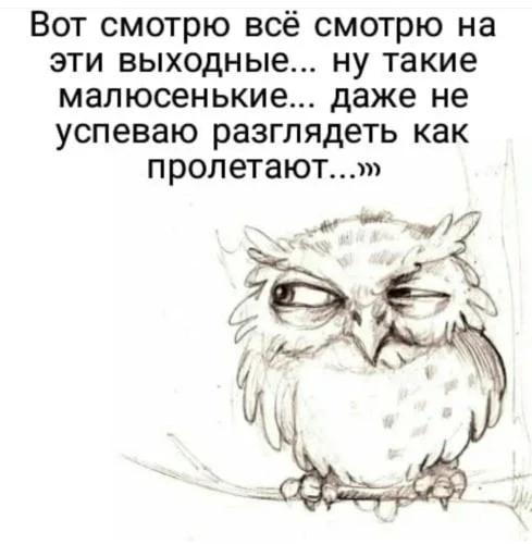 С утрой понедельника 🫠